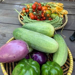 Meet your Posher, Ter